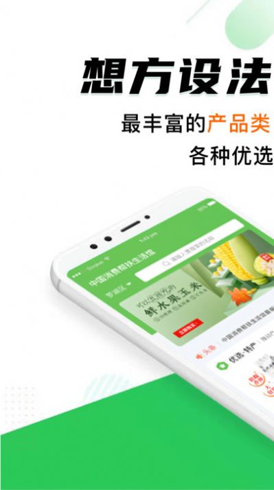 中优邦扶(2)