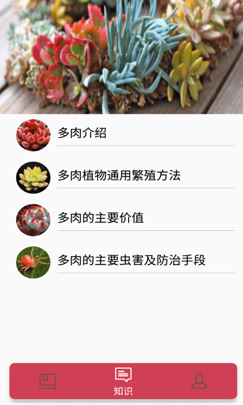 花草多肉日记(3)