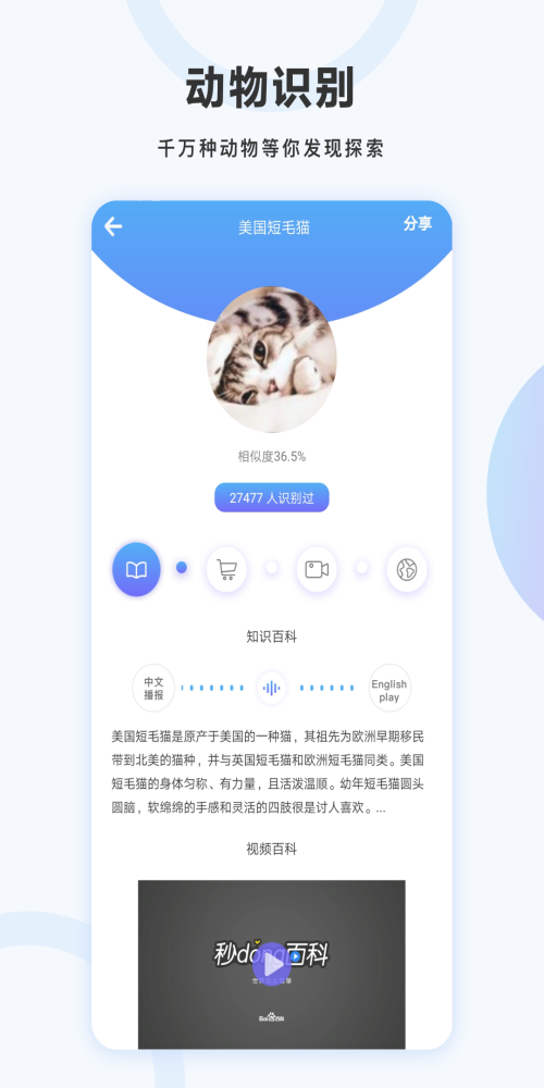 万图 拍扫描(1)