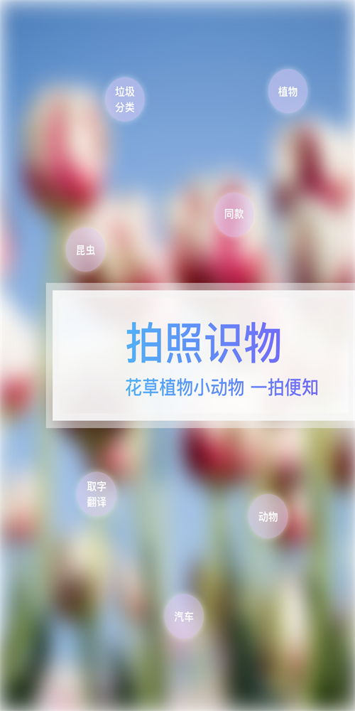 万图拍扫描.png