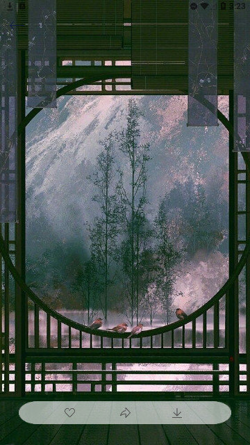 多态兔兔(1)