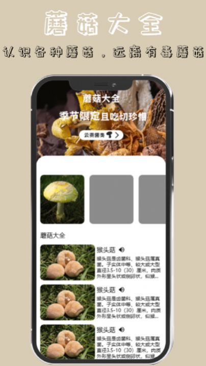 蘑菇识别高手(2)