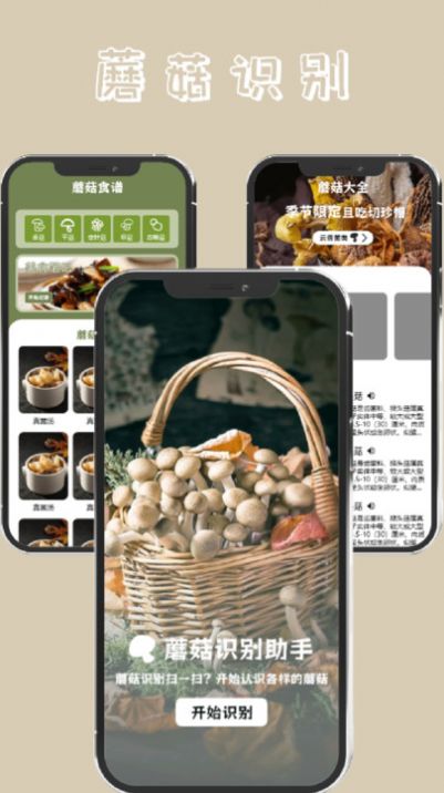 蘑菇识别高手.jpg