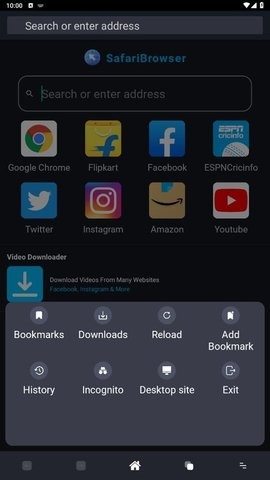 SafariBrowser(3)
