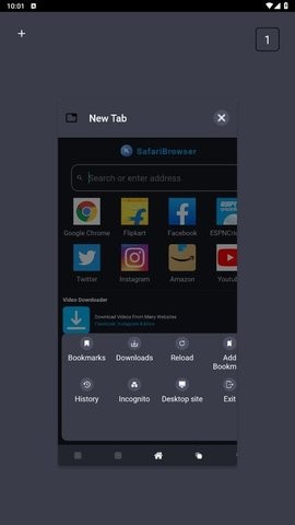 SafariBrowser.jpg
