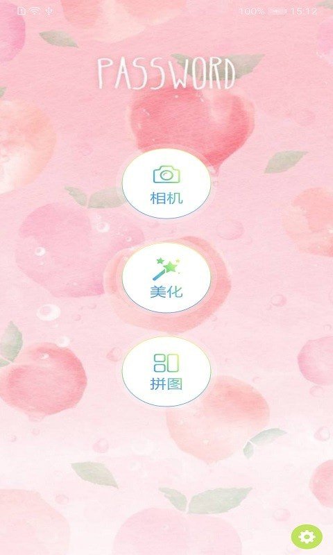 合拍相机(2)
