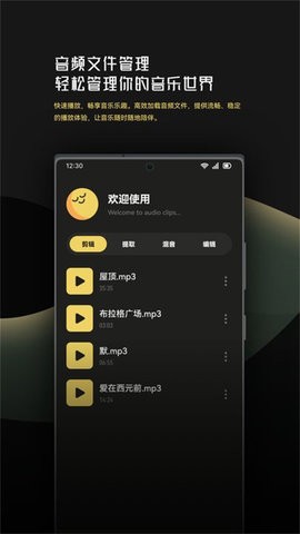 音乐时刻剪辑助手(3)