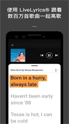 soundhound(1)