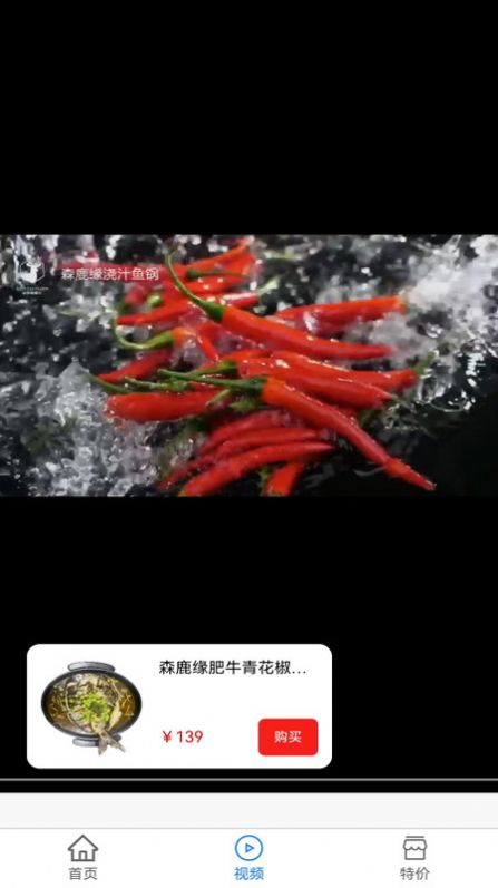 店拓(2)