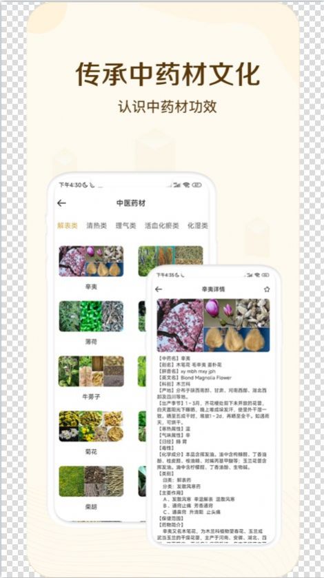 经络穴位指南(2)