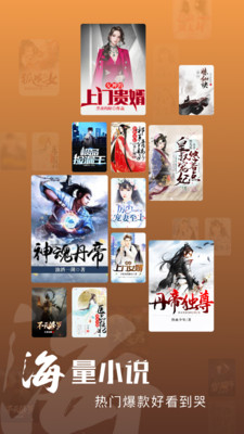 洋葱小说无广告(3)