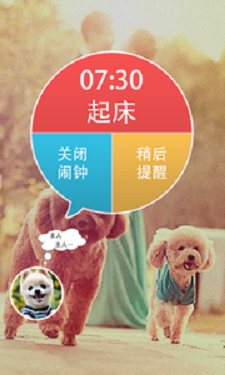 宠物闹钟(2)