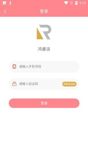 鸿睿派(1)