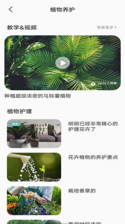 拍照识别植物弛意版(2)