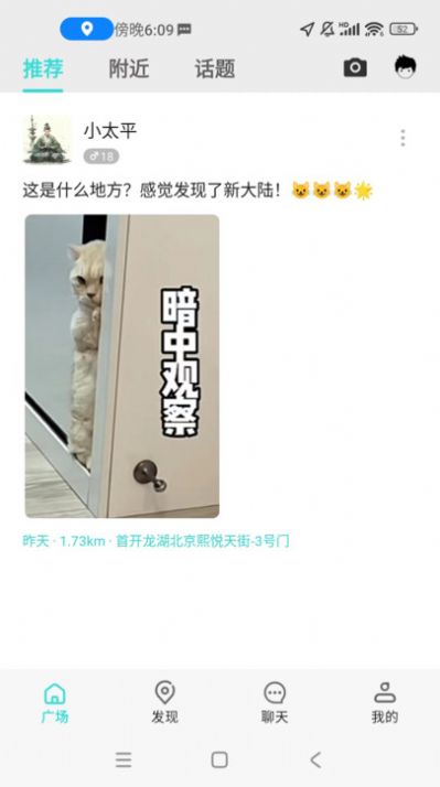O考拉.jpg