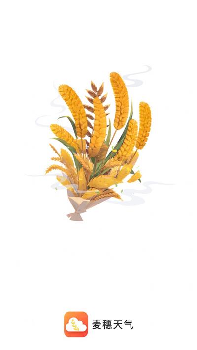 麦穗天气(1)