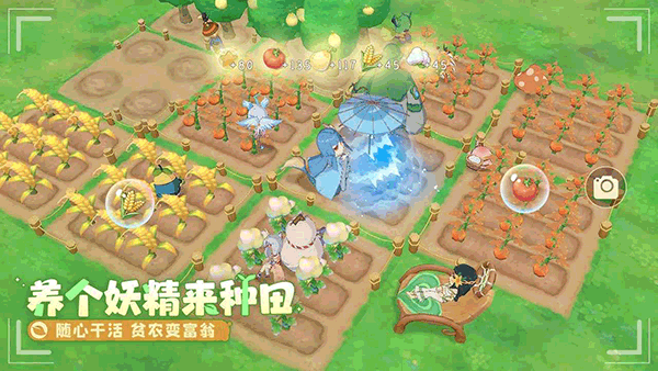 织梦森林(1)