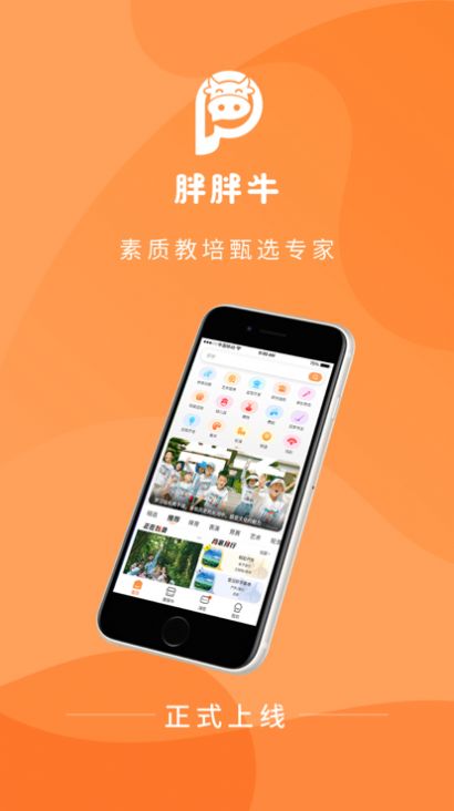 胖胖牛.jpg