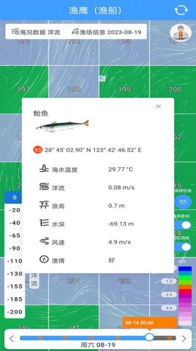 渔遥渔鹰(3)