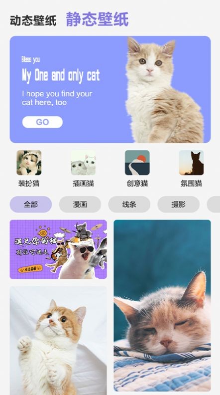 可爱喵喵壁纸大全(1)