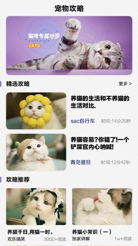 可爱喵喵壁纸大全(2)