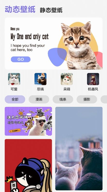 可爱喵喵壁纸大全(3)