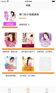 书鱼小说(3)