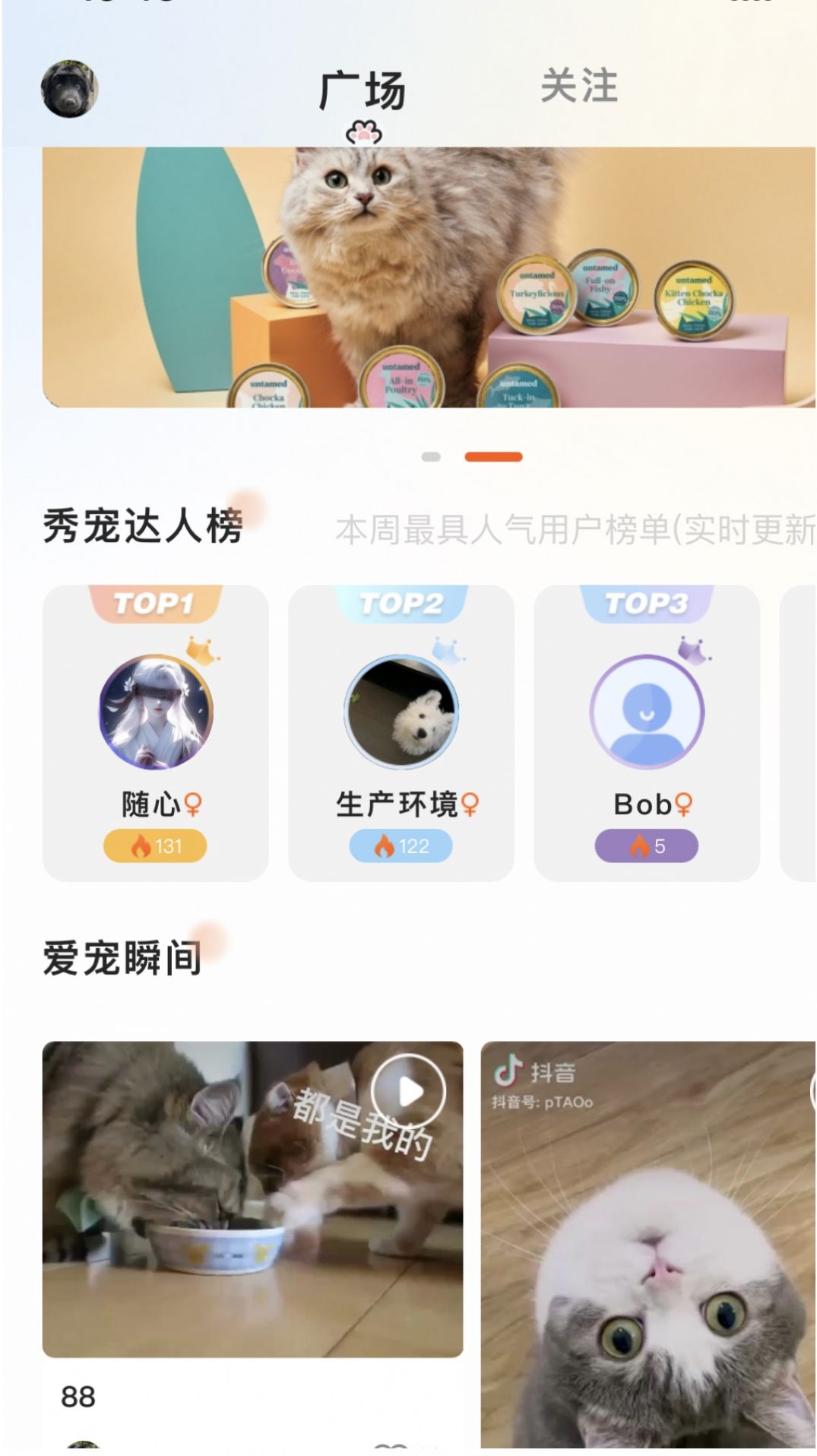 哆伽宠(2)