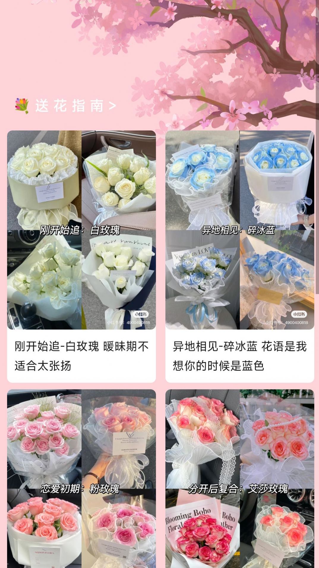 樱花充电.jpg