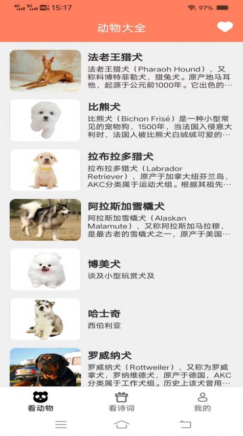 火火聚看(3)