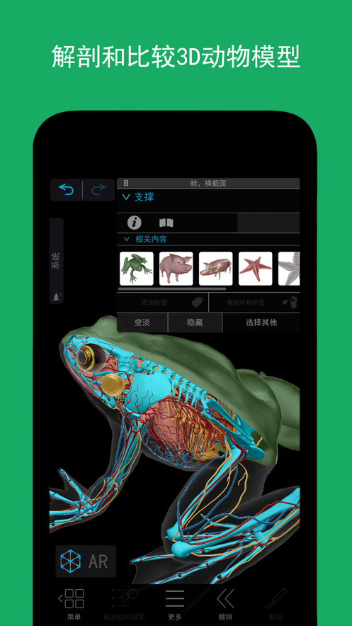可视化生物学png