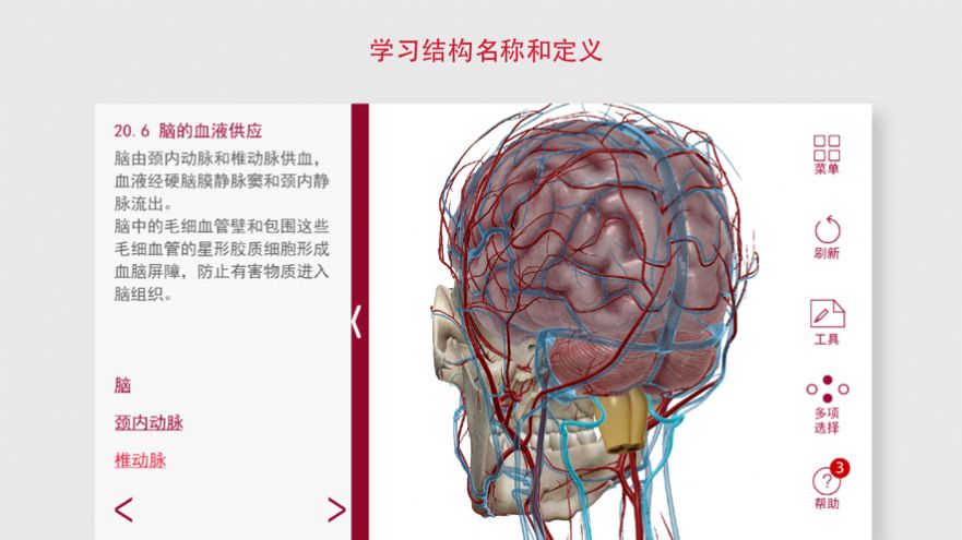 解剖和生理学(3)