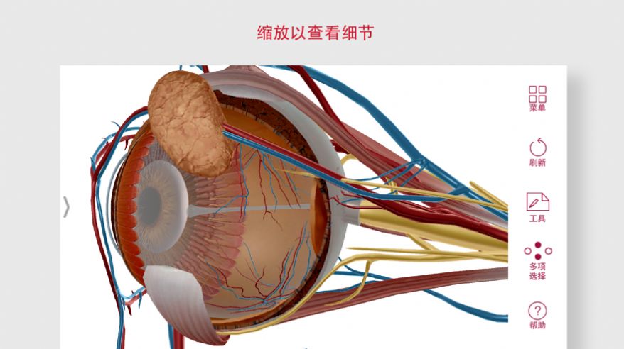 解剖和生理学(2)