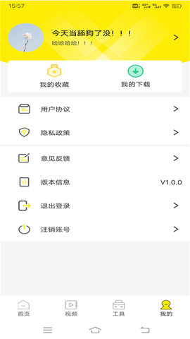 白狐壁纸视频(1)