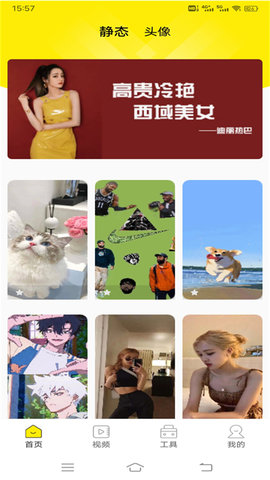 白狐壁纸视频(2)