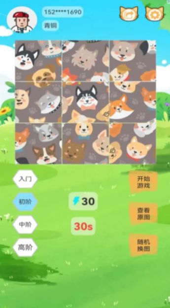 宠物乐拼图(2)