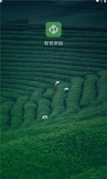 智慧茶园(2)
