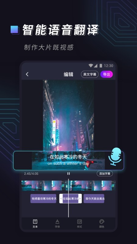 视频字幕大师(3)