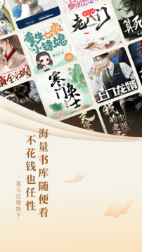 奇迹小说免费(3)