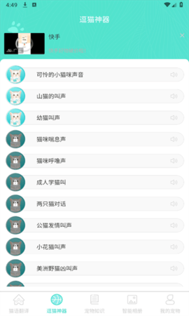 宠猫翻译(3)