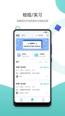 求职鸥(2)