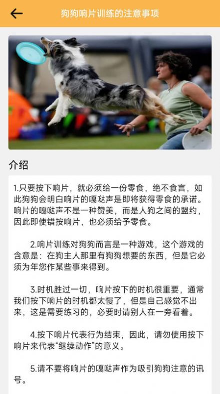 旺旺历险记(3)