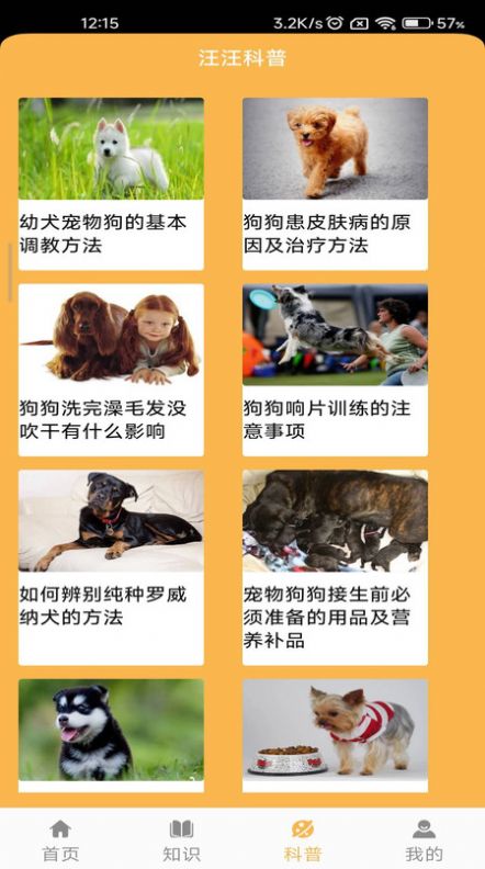 旺旺历险记.jpg