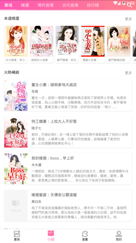 粉爱小说.png