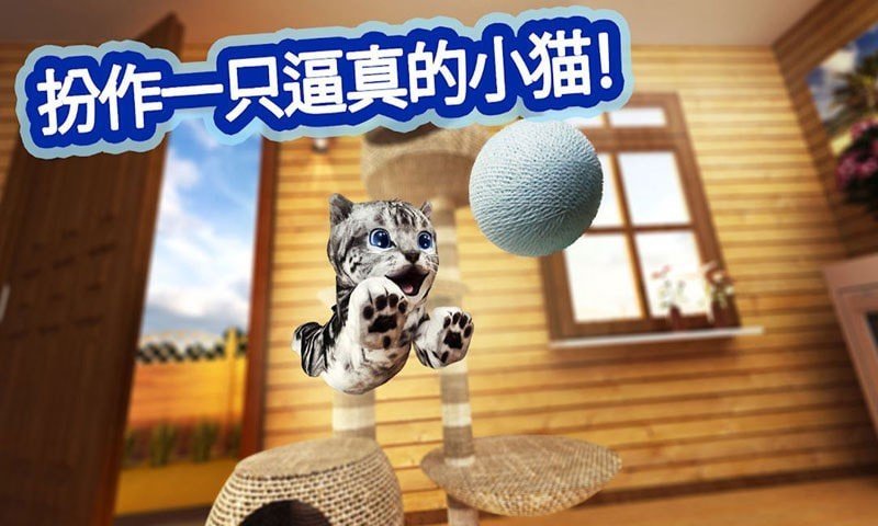 迷你小猫城市生存(3)