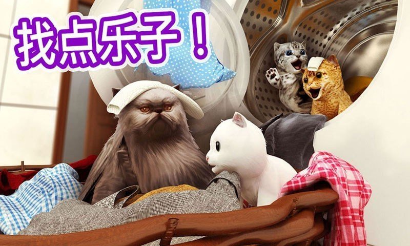 迷你小猫城市生存(1)