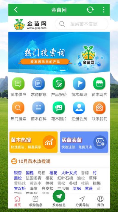 金苗网.jpg