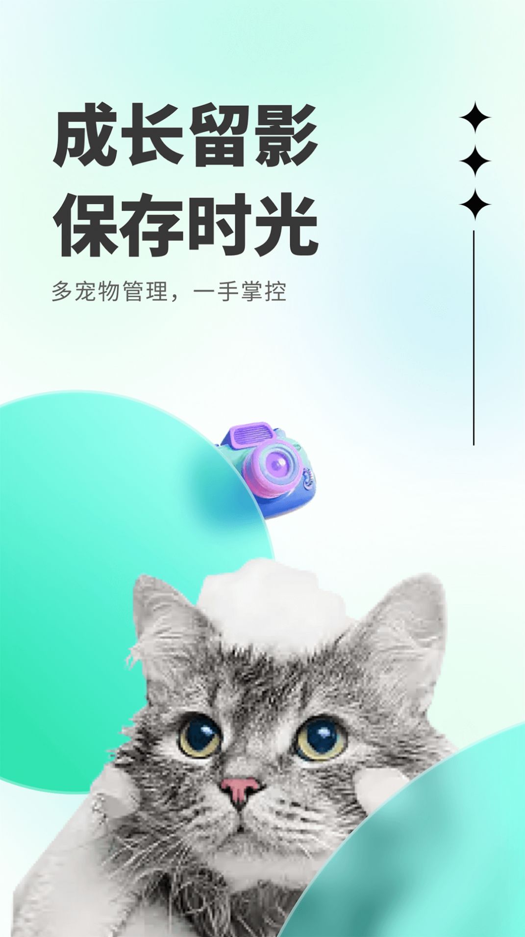 萌萌答jpg