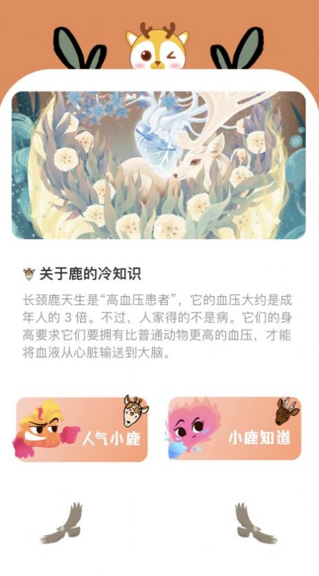 小鹿趣看(2)