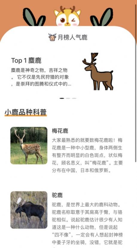 小鹿趣看(3)